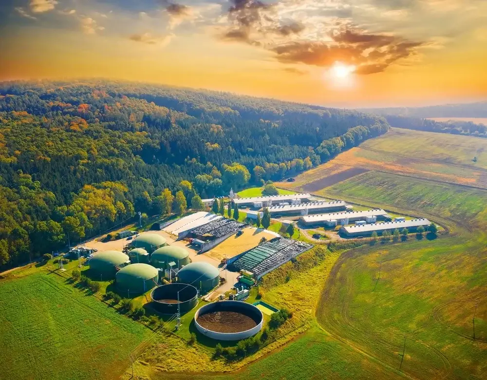 Biogas
